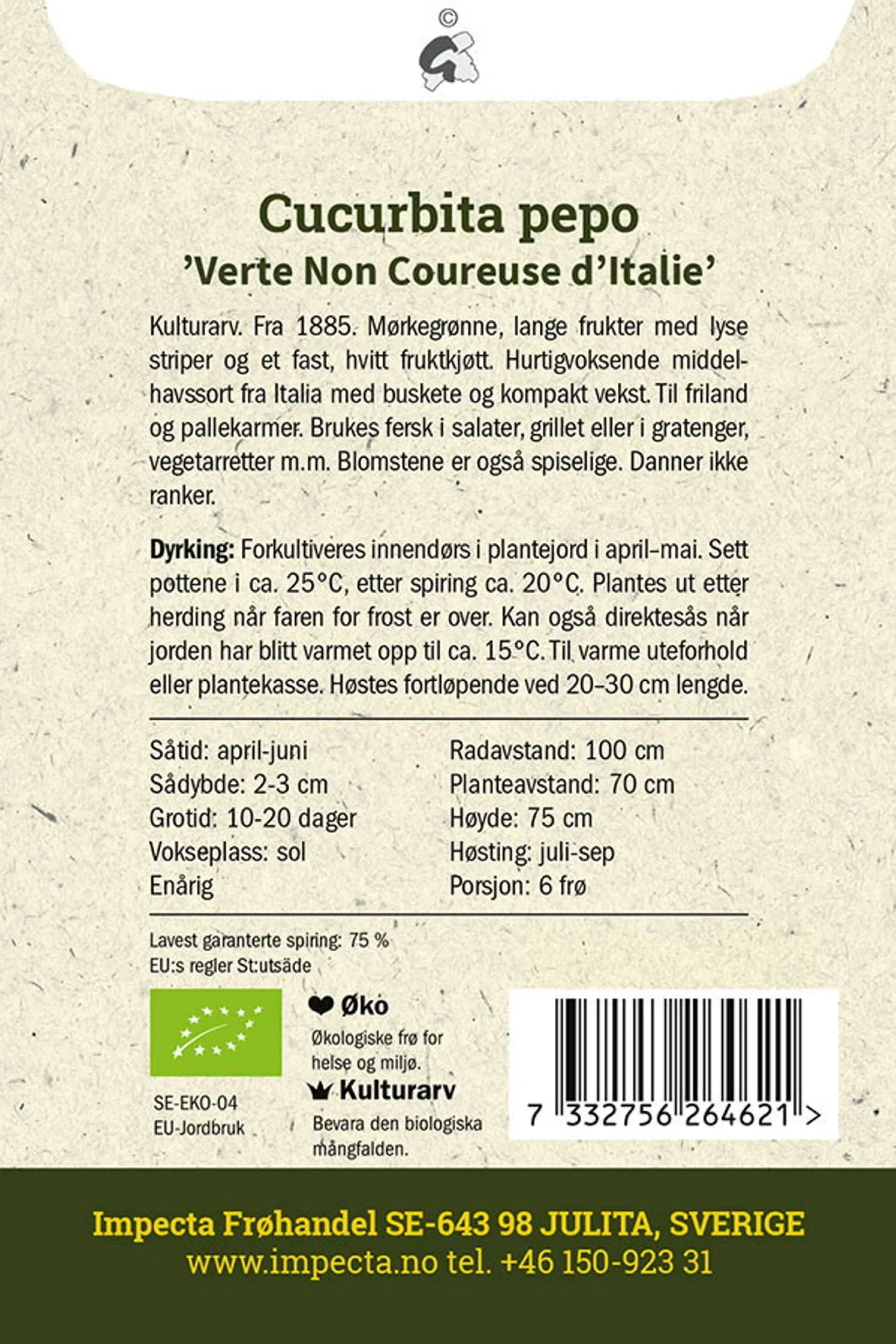 Squash 'Verte Non Coureuse d'Italie'