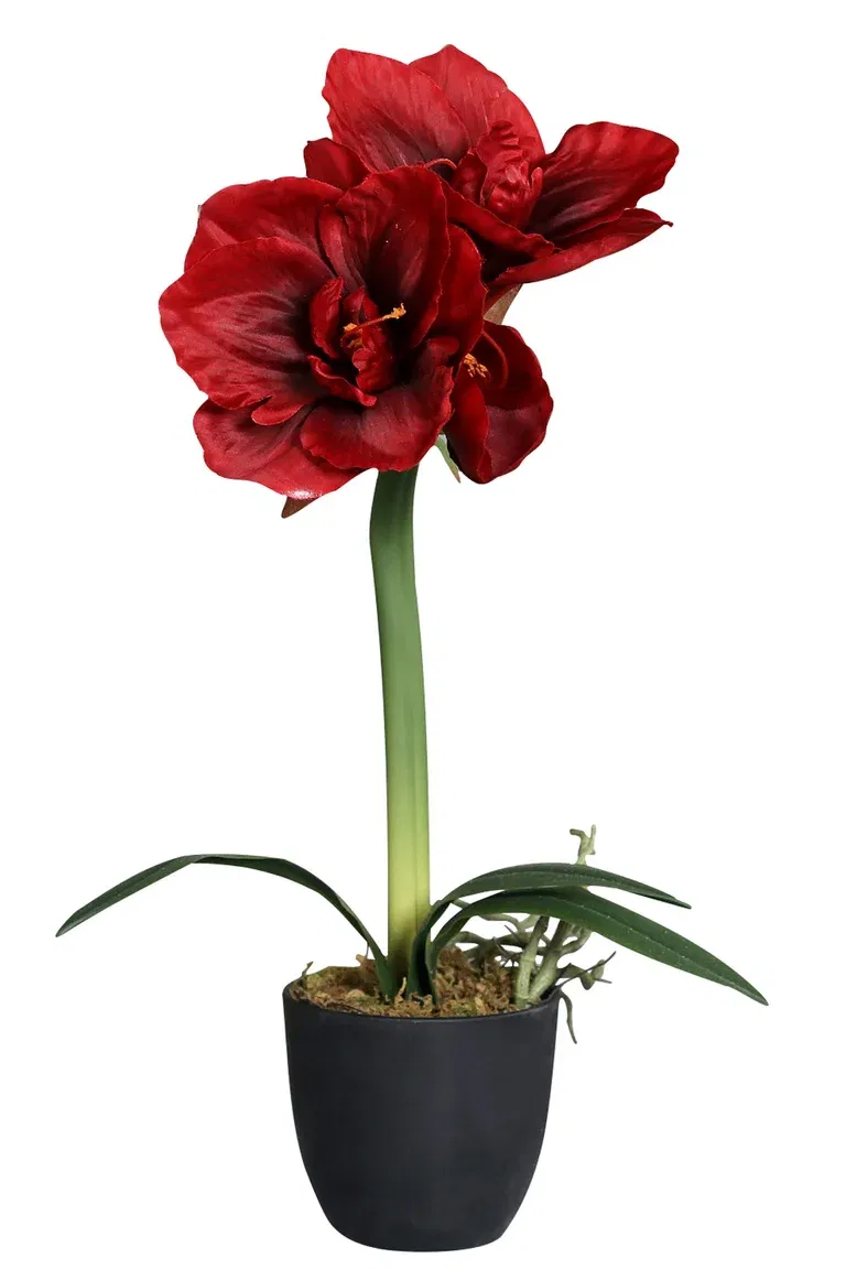 Amaryllis i potte, kunstig