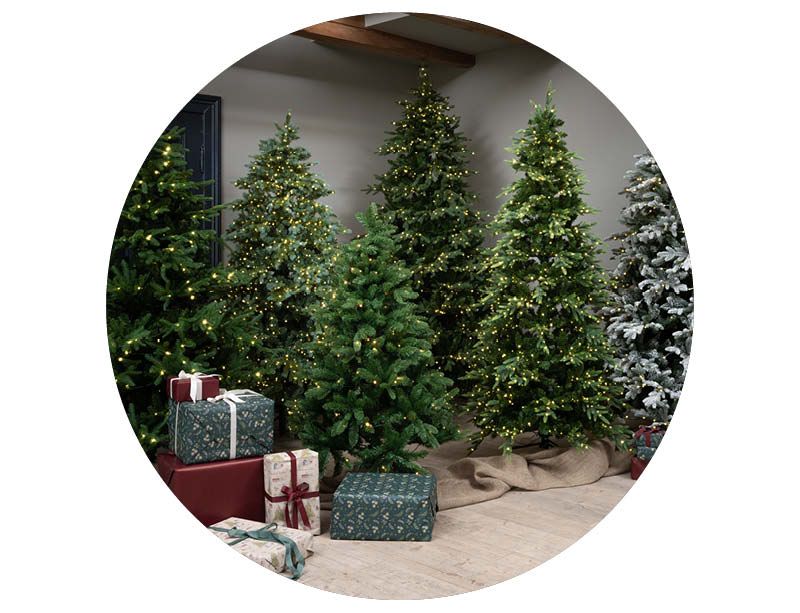 Image of Juletrær 30%