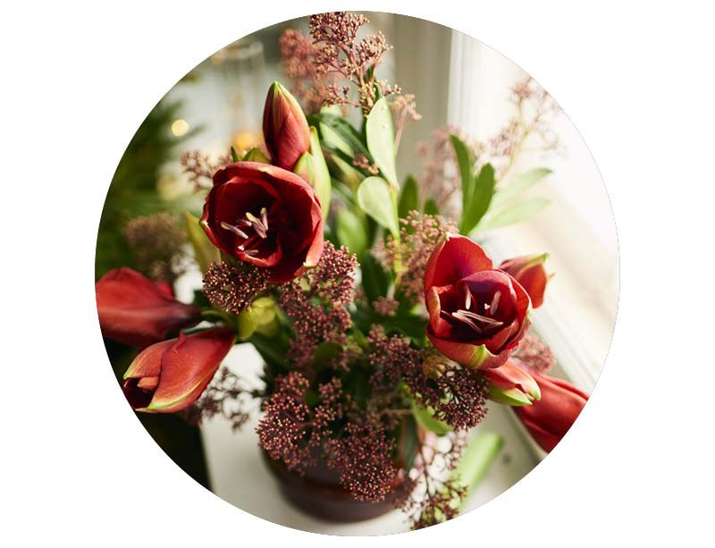 Image of Juleblomster