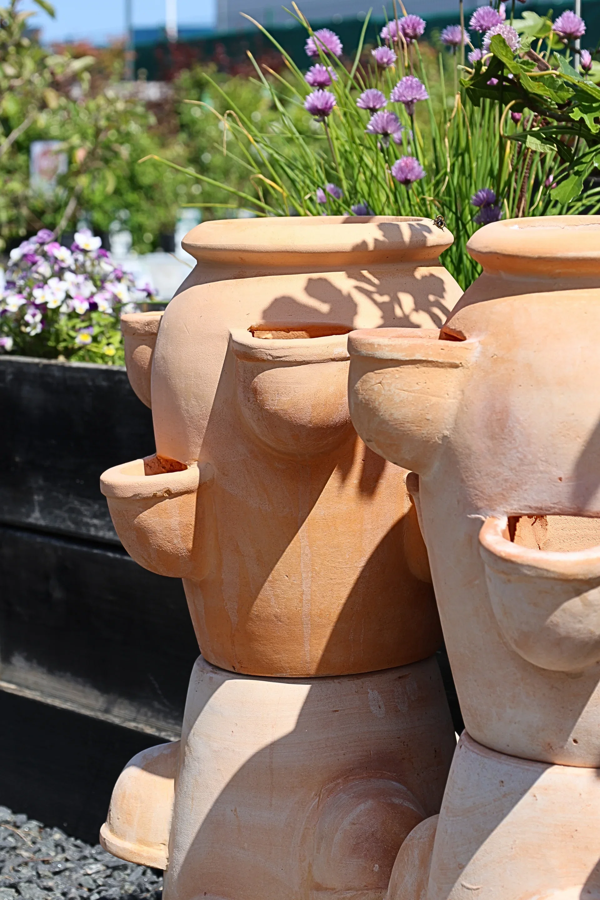 Jordbærpotte Gilbert