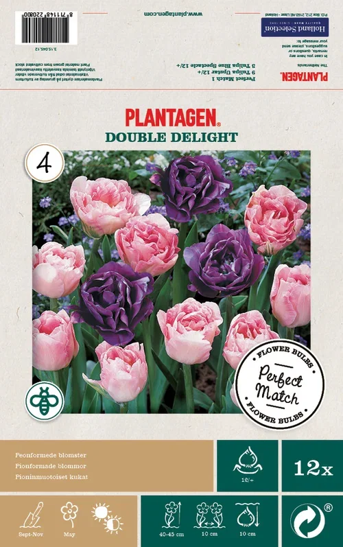 Tulipanmiks Double Delight - 12 stk